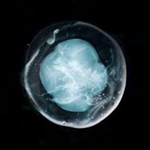 A Winged Victory for the Sullen - Undivided Five  CD